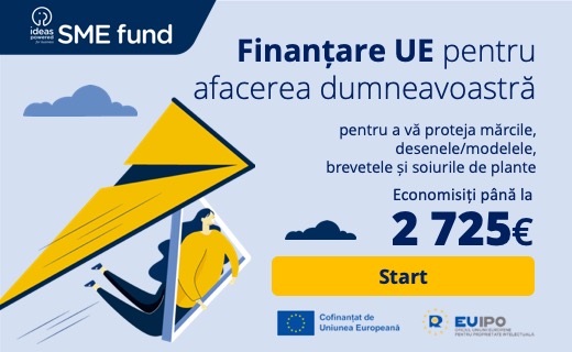 Ideas Powered for Business SME Fund - Mai 2023