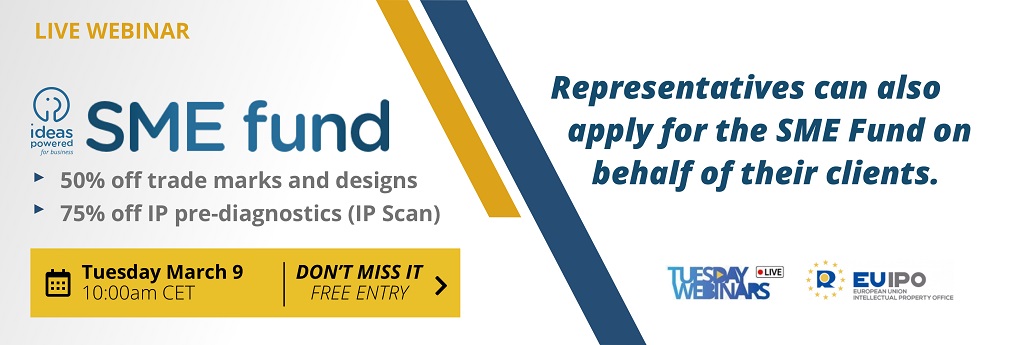 SME FUND webminar mediu